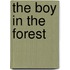 The Boy in the Forest