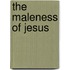 The Maleness of Jesus