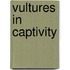 Vultures in Captivity