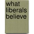 What Liberals Believe