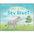 Why Is The Sky Blue ?