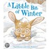 A Little Bit of Winter