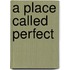 A Place Called Perfect