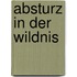 Absturz in der Wildnis
