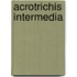 Acrotrichis intermedia