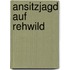 Ansitzjagd auf Rehwild