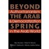 Beyond the Arab Spring