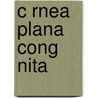 C Rnea Plana Cong Nita door Aldo Amado Sigler Villanueva