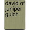 David of Juniper Gulch by Lillian Hinman Shuey