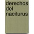 Derechos del Naciturus