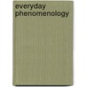 Everyday Phenomenology by Derek Mitchell