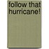 Follow That Hurricane!