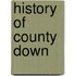 History of County Down