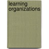 Learning Organizations door Marcus Goncalves