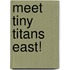 Meet Tiny Titans East!