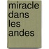 Miracle Dans Les Andes