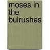 Moses In The Bulrushes by Chris Rothero