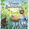 Moses in the Bulrushes door Katherine Sully