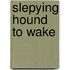 Slepying Hound To Wake