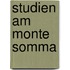 Studien am Monte Somma