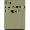 The Awakening of Egypt door Christoph Blepp