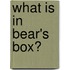 What Is in Bear's Box?