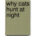 Why Cats Hunt at Night
