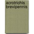 Acrotrichis brevipennis