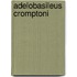 Adelobasileus cromptoni