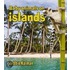 Baby Animals on Islands