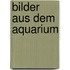 Bilder aus dem Aquarium
