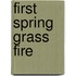 First Spring Grass Fire