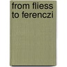 From Fliess to Ferenczi door Yiukee Chan