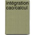Intégration Cao/calcul