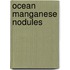 Ocean Manganese Nodules