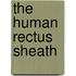The Human Rectus Sheath