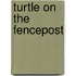 Turtle on the Fencepost