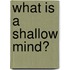 What Is a Shallow Mind?