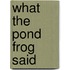What the Pond Frog Said