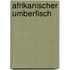 Afrikanischer Umberfisch