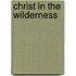 Christ in the Wilderness