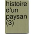 Histoire D'Un Paysan (3)