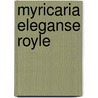 Myricaria eleganse Royle door Salimullah Khan