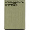 Neuaegyptische Grammatik door Erman Adolf