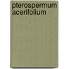 Pterospermum Acerifolium door Shamshad Sultana Khanam