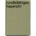 Rundblättriges Hasenohr