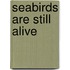 Seabirds Are Still Alive