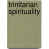 Trinitarian Spirituality door Brian K. Kay