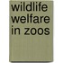 Wildlife Welfare In Zoos