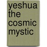 Yeshua the Cosmic Mystic door Theodore J. Nottingham